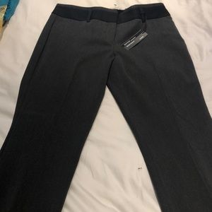 Express Editor Slacks